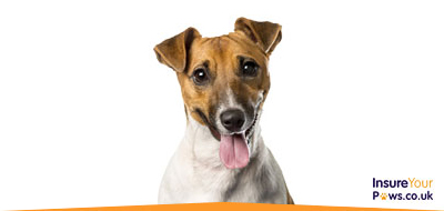 Dog Insurance | Pet Insurance for Dogs 