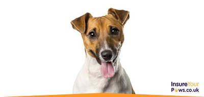 Dog Insurance | Pet Insurance for Dogs Dog Insurance | Pet Insurance for Dogs
