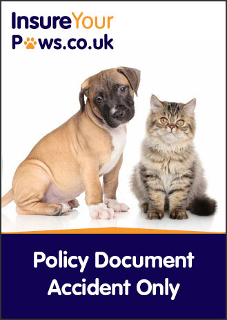 Accident Only Policy Document